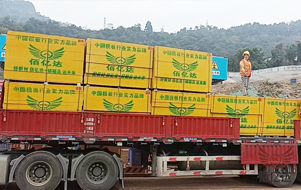 云南建筑木模板到貨場景圖